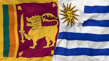 sri lanka en Uruguay vlaggen samen naadloos looping achtergrond, lusvormige buil structuur kleding golvend langzaam beweging, 3d renderen video