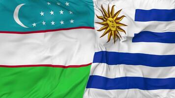 Uzbekistán y Uruguay banderas juntos sin costura bucle fondo, serpenteado bache textura paño ondulación lento movimiento, 3d representación video