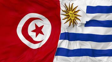 tunisia e Uruguay bandiere insieme senza soluzione di continuità looping sfondo, loop urto struttura stoffa agitando lento movimento, 3d interpretazione video