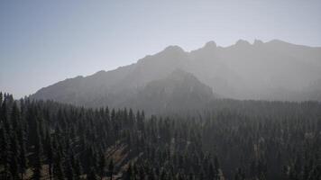 un' Visualizza di un' montagna con alberi nel il primo piano video