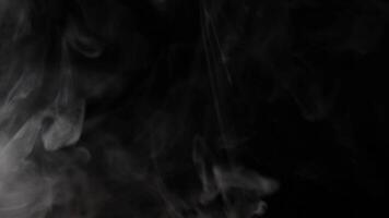 smoke black background video