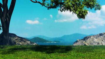 verde erba campo nel estate leggero è movimento metraggio per arte retrò film e cinematico nel spazio. anche bene sfondo per scena e titoli, loghi video