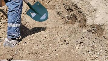 Using a green shovel, a person is digging in the soil video