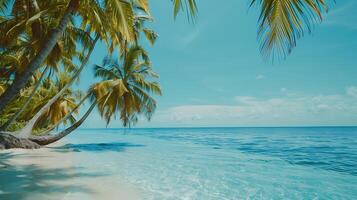 ai generado tropical paraíso cristal claro aguas palma arboles y azul cielo foto