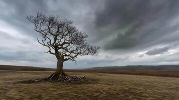 AI generated Resilient Lone Tree Stands Strong Against Stormy Sky Symbolizing Endurance and Strength in Adversity photo