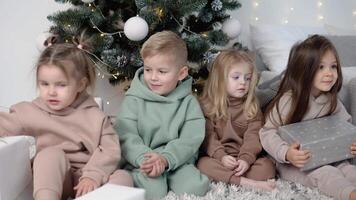 Children sitting near Christmas tree and share their presents video