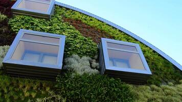 ventanas en fachada de moderno edificio con vegetación paredes verde ambiente video