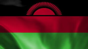 Malawi Flag. National 3d Malawi flag waving. Flag of Malawi footage video waving in wind. Flag of Malawi 4K Animation