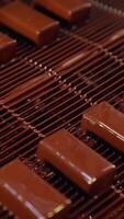 Delicious sweets freshly-covered with black chocolate glazing. Grid conveyor full of chocolate candies. Assembly line close up. Vertical video