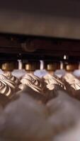 A number of freshly-made creamy marshmallows moving on the conveyor line. New marshmallows being squeezed at the backdrop. Close view. Vertical video