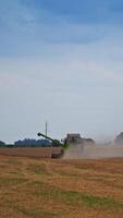 cosecha máquina Moviente despacio a través de el campo en el nube de polvo. agraciado cigüeña siguiendo el máquina. cortar campo a el primer plano. vertical vídeo video