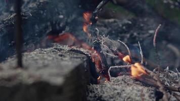 abstrakt Eiche Holz Lagerfeuer im Flammen Rauch und Asche video