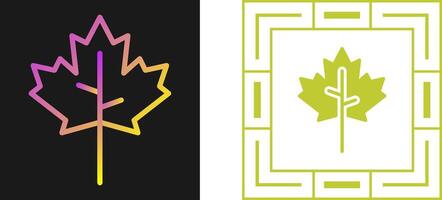 Maple leaf Vector Icon