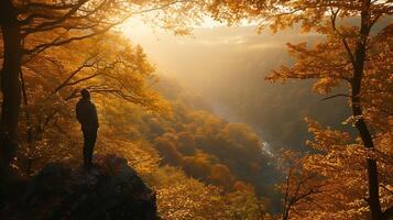 AI generated Contemplative Figure Embracing Autumn Change in Sunlit Valley with Determined Posture photo