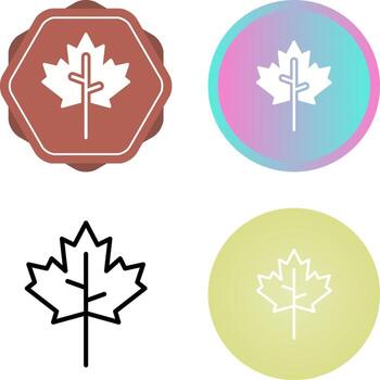 Maple leaf Vector Icon