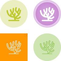 Coral Vector Icon