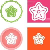 Starfish Vector Icon