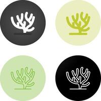 Coral Vector Icon