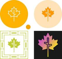 Maple leaf Vector Icon