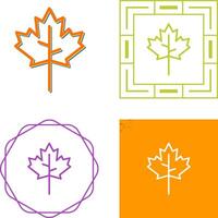 Maple leaf Vector Icon