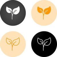 Leaf Vector Icon