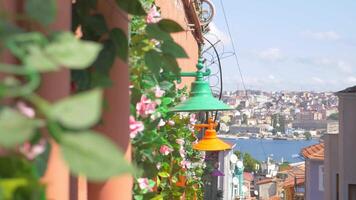 A street light hangs from a building, illuminating the terrestrial plants below video