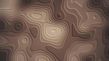 Topographical map styled motion background animation with gently morphing organic shapes. Full HD and a seamless loop. video