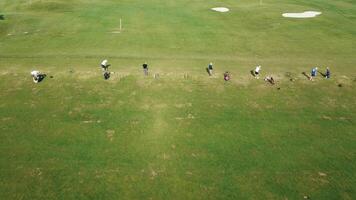 aereo Visualizza di giocatori di golf su incontaminato corso, giocatori di golf godendo un' soleggiato giorno su un' vivace verde golf corso. video