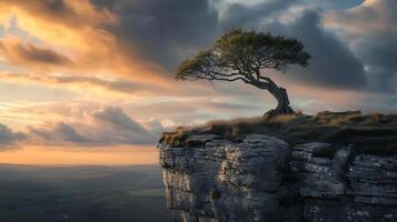 AI generated Resilient Tree Embracing Elements Casting Hopeful Shadows Amidst Harsh Environment photo