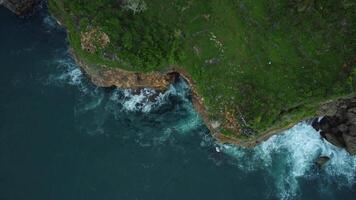 Birds eye flying over coastline rock cliff. Aerial blue foamy waves crashing against rocky coastline. Lush tropical coastline sea. Drone cinematic movement in nature landscape. video