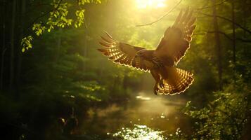 AI generated Injured Hawk Released into Golden Forest  A Symbol of Hope and Wildlife Preservation photo