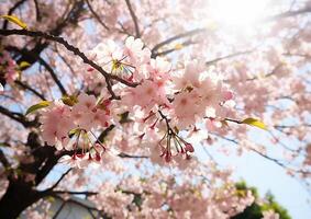 AI generated Springtime tree branch with pink cherry blossom petals in nature generated by AI photo