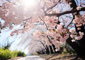 AI generated Freshness of springtime nature beauty in pink cherry blossom generated by AI photo