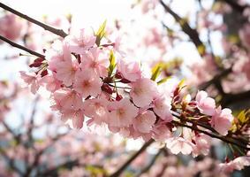 ai generado frescura y belleza en naturaleza rosado Cereza flores floración generado por ai foto