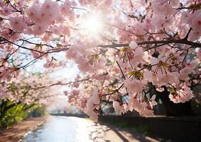 AI generated The cherry blossom tree blooms, showcasing nature vibrant beauty generated by AI photo