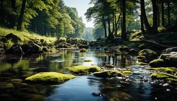 ai generado tranquilo escena de un verde bosque reflejando en agua generado por ai foto
