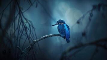 AI generated A kingfisher bird majestically perched on a branch, a stunning display of nature's elegance, Ai Generated. photo