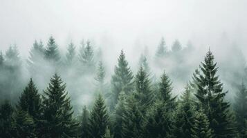 AI generated Mystic fog blankets a dark green pine tree forest, creating an eerie and enchanting atmosphere. Ai Generated. photo