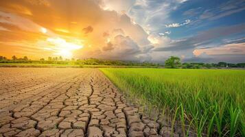 AI generated Witness the journey of climate change from drought to green growth, a visual narrative of resilience and hope. Ai Generated. photo