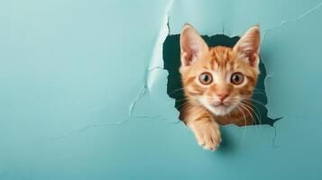 AI generated A humorous cat peers through a ripped hole in a contrast pastel color paper background, Ai Generated photo