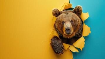 AI generated A humorous bear peers through a ripped hole in a contrast pastel color paper background, Ai Generated photo