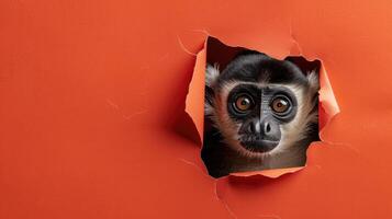 AI generated A humorous gibbon peers through a ripped hole in a contrast pastel color paper background, Ai Generated photo