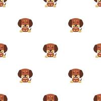 Vector cartoon character dachshund dog seamless pattern background