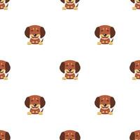 Vector cartoon character dachshund dog seamless pattern background