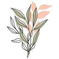 vector composition with leaves and branch. Elegant art for decoration. ink hand drawing botanical illustration for backgrounds. Template for wedding cards, polygraph, logo, tattoo.