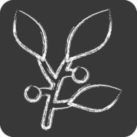 Icon Bay Leaf. related to Spice symbol. chalk Style. simple design editable. simple illustration vector