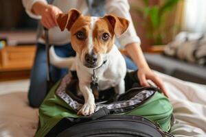 AI generated Dog owner packing a suitcase with pets essentials. Dog sitting in the suitcase and waiting for a trip. Generative AI photo