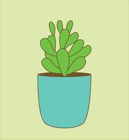 jade planta vector