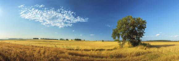 AI generated Beautiful agricultural landscape photo