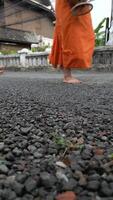 munkar fötter stänga upp. munkar promenader genom de gator i laos. video